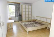 Klimatisierte Nichtraucherwohnung - Nähe Alte Donau/Uno City