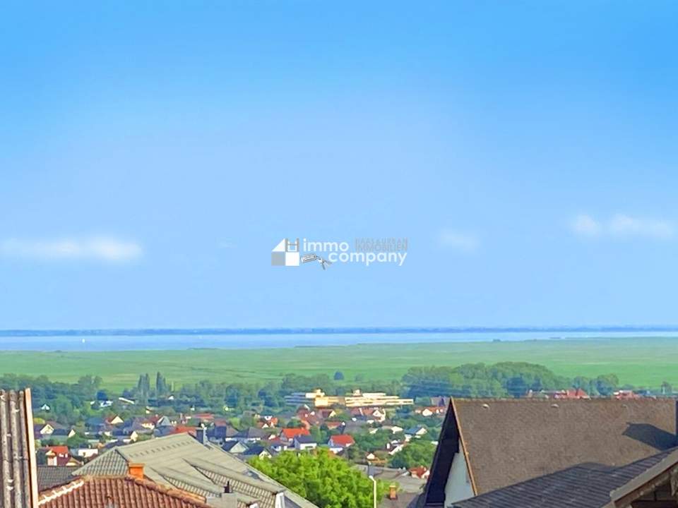 Leben in neuer Dimension -Neusiedlersee-Blick