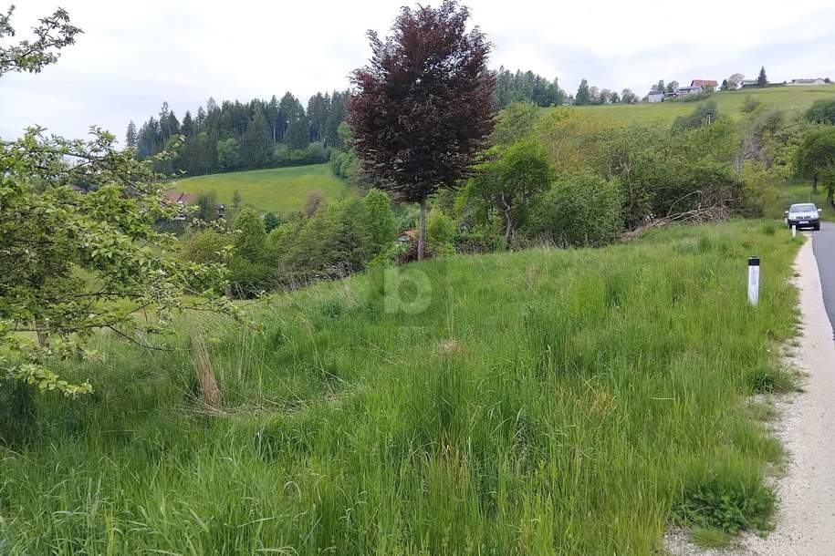 WER RUHE SUCHT WIRD HIER FÜNDIG, Grund und Boden-kauf, 49.000,€, 9112 Völkermarkt