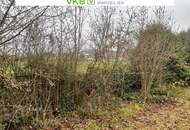 Naturnah & ruhig: Grundstück mit Altbestand in Spattendorf - Gemeinde Alberndorf in der Riedmark (GST 2438/1)