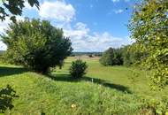 Architektenhaus -Barrierefreies Niedrigenergiehaus auf über 2 ha Grund