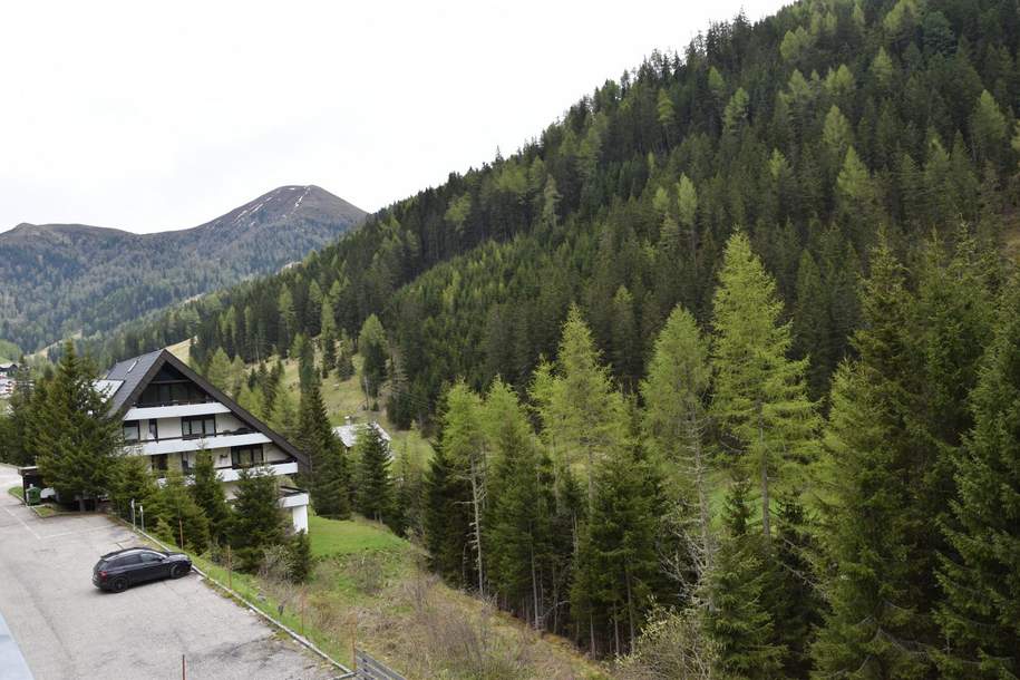 Eigentumswohnung im Biosphärenpark Nockberge Innerkrems, Wohnung-kauf, 80.000,€, 9861 Spittal an der Drau