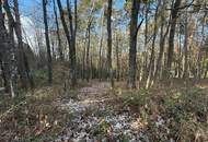 Großes Baugrundstück mit Wald ohne Bauzwang