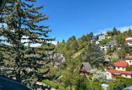 Fantastisches Einfamilienhaus mit Indoorpool und Sauna in Döblinger Villengegend