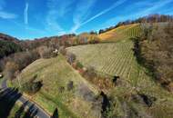 Weingarten mit Landwirtschaft und Altbestand in Kranach, Gemeinde Gamlitz