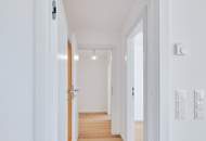 Blick zum Stephansdom!