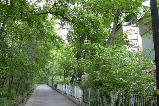 Wohnen beim Wilhelminenberg, Wohnung-kauf, 380.000,€, 1160 Wien 16., Ottakring