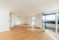 Dachgeschoss 3 Zimmer mit Dachgarten, klimatisiert - provisionsfrei + Jahreskarte Wr. Linien