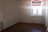 Wunderschöne helle 2-Zimmer komplett sanierte Altbauwohnung mit Ausblick an die Donau