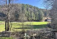 Einfamilienhaus im Grünen