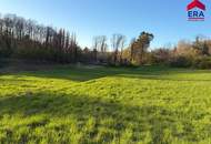 Exklusives Freizeitgrundstück in absoluter Grünruhelage – Natur, Weite &amp; vielfältiges Potenzial in Gaweinstal