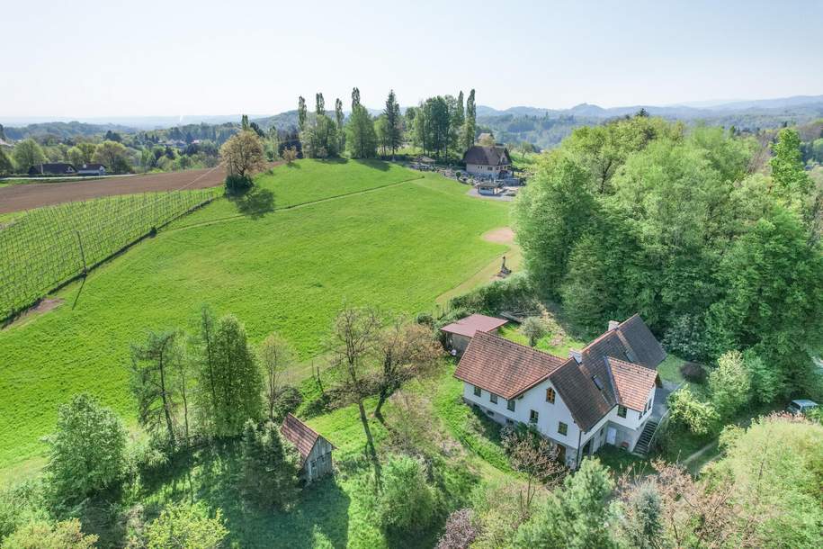 Charmantes Einfamilienhaus in der Südsteiermark mit viel Platz und Natur, Haus-kauf, 550.000,€, 8430 Leibnitz