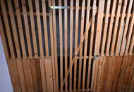 "++ BlickInsGrüne ++"