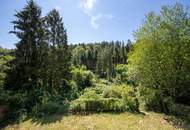 Rarität // Südhang // Bach // Biotop // absolute Ruhelage an der Waldgrenze