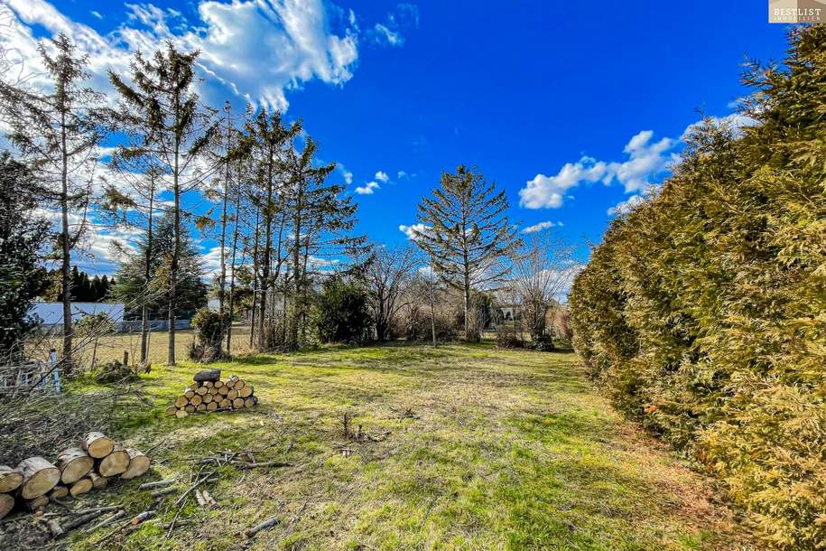 Großzügiges Mehrfamiliengrundstück – Raum für Ihre Zukunft!, Grund und Boden-kauf, 499.000,€, 2322 Bruck an der Leitha