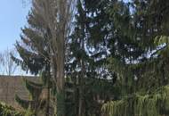 CHRISTOPH CHROMECEK IMMOBILIEN - GIESSHÜBL - Zentral gelegenes Baugrundstück!