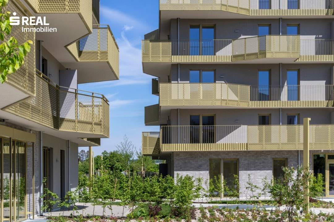 Hirschfeld - Ihr neues Zuhause im Grünen - anfragen, besichtigen, einziehen - 41 bis 96 m²