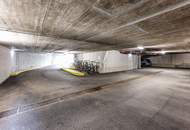 1,5 Z-Whg mit 220 qm Garten + TG Stellplatz
