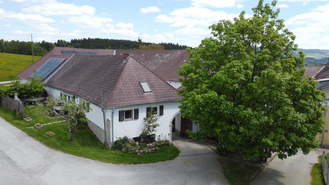 Absolute Rarität! Traditionsgasthaus Brunngraber!