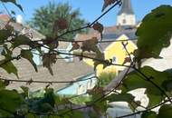 Weitra: Wohn- und Geschäftshaus mit einzigartiger Fassade