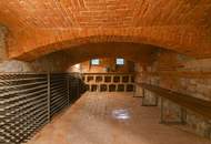 Kröpfelsteigstraße - exklusives Anwesen mit einem 11.045m2 großem Grundstück zu vermieten