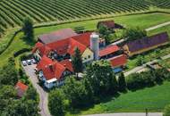 Bäuerliches Anwesen mit Kellerstöckl, Wirtschaftsgebäuden und sechs Wohneinheiten in St. Nikolai im Sausal