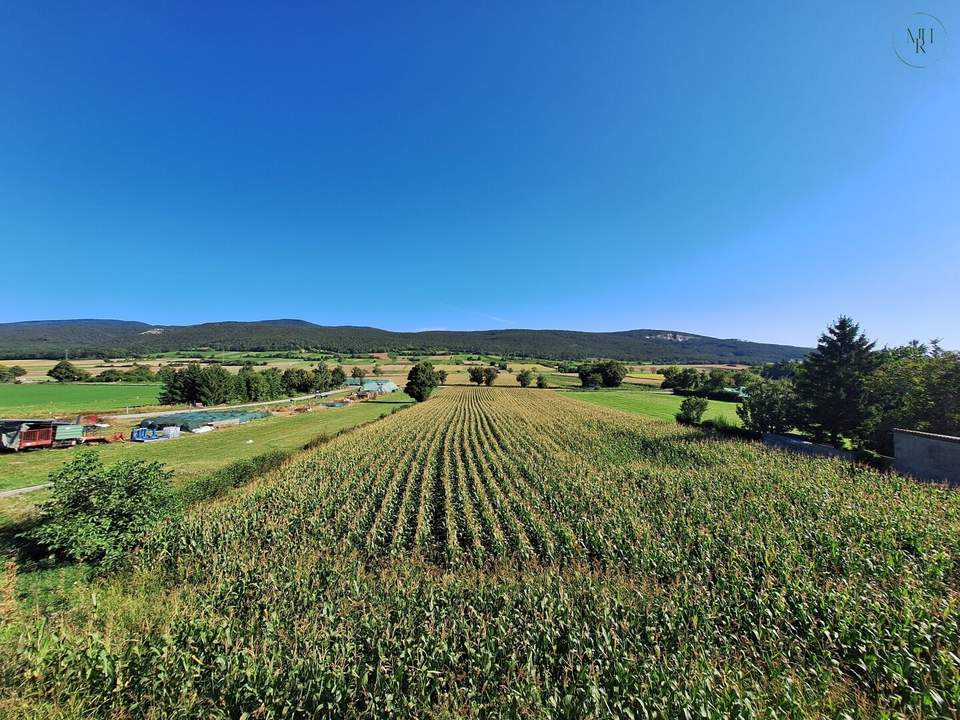 Aufleben in den Weinbergen | Exklusive Erstbezugswohnungen in der Thermenregion