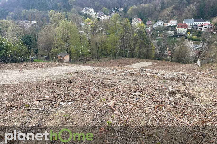 Grundstück in Hanglage in Kaltenleutgeben, Grund und Boden-kauf, 460.000,€, 2391 Mödling