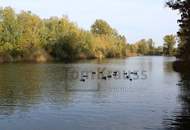 PROVISIONSFREI MÜHLWASSER-SUITES