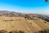 Klimatisiertes Luxus Maisonette Apartment mit 3 Terrassen und großem Garten samt Blick auf die Weinberge in Grinzing! Garagen verfügbar!