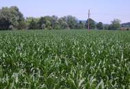 Landwirtschaft mit Potential