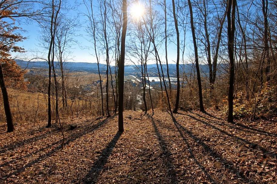 Natur vor der Haustür – Grundstück mit Weitblick und Grünlandanschluss, Grund und Boden-kauf, 890.000,€, 2100 Korneuburg