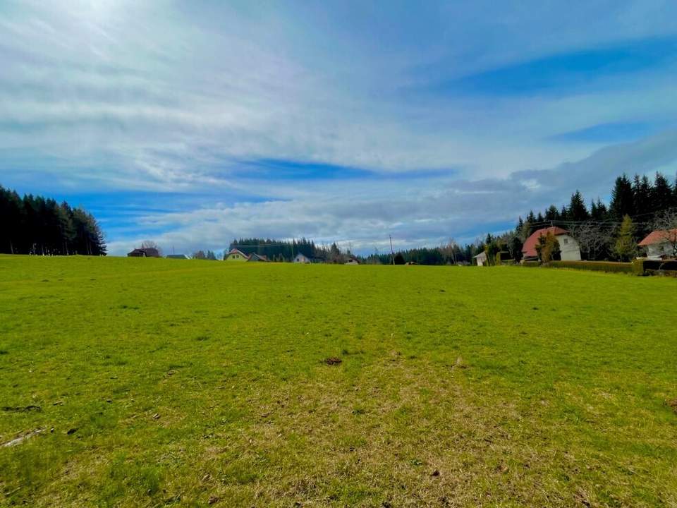 Baugrundstück im Ausmaß von 1.784 m² mit Almcharakter Naturparadies Lavanttal