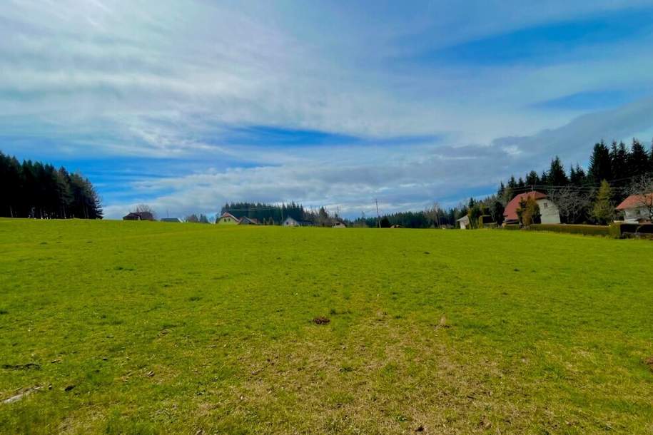 Baugrundstück im Ausmaß von 1.784 m² mit Almcharakter Naturparadies Lavanttal, Grund und Boden-kauf, 89.200,€, 9441 Wolfsberg