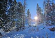 GOLDEN EAGLE - ein außergewöhnliches &amp; exklusives Rundholzchalet