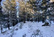 ZWEITWOHNSITZTAUGLICH! Grundstück in idyllischer Lage auf der Turracher Höhe