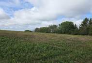 Landwirtschaftliche Grundstücke samt Wald in Stadtschlaining