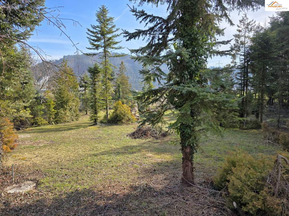 Baugrundstück mit über 2.200m² - vielseitig Nutzbar