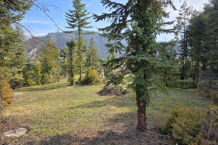 Baugrundstück mit über 2.200m² - Pitten, Grund und Boden-kauf, 195.000,€, 2823 Neunkirchen