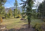 Baugrundstück mit über 2.200m² - Pitten