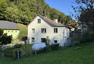 Zweifamilienwohnhaus Haselgraben