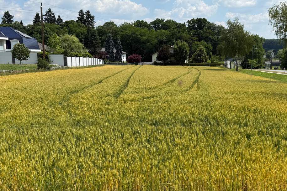 SONNIGES BAUGRUNDSTÜCK ohne Bauzwang, Grund und Boden-kauf, 99.000,€, 7512 Oberwart