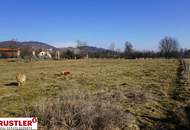 Grundstück mit Potential nähe Völkermarkter Stausee