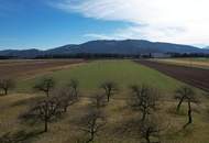 Ruhig gelegenes Landanwesen in St. Radegund – Zwei Häuser, Bauland und weitläufige Ackerflächen