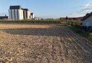 Grundstücksteilfläche für ein Eigenheim in Judenau – ca. 800, 900 oder 1.000 m²