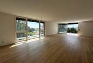 Dacherstbezug mit spektakulärem Wienblick, Terrassen &amp; Dachterrasse in "WOLKE sieben"