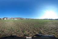 Großes Baugrundstück (ca. 1 ha) in Güssinger Ortsrandlage!