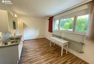Schöne 4,5 Zimmer Loggia-Wohnung mit 32m² Einliegerwohnung &amp; Garage in Grünruhelage