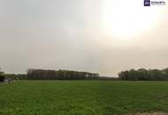 Riesen Potenzial - ca. 1h großes GEWERBEGRUNDSTÜCK 0,3 - 2,0 Dichte mit direkter Nähe zur Autobahn und zur Eisenbahn! Alternativen in der Umgebung auch verfügbar!