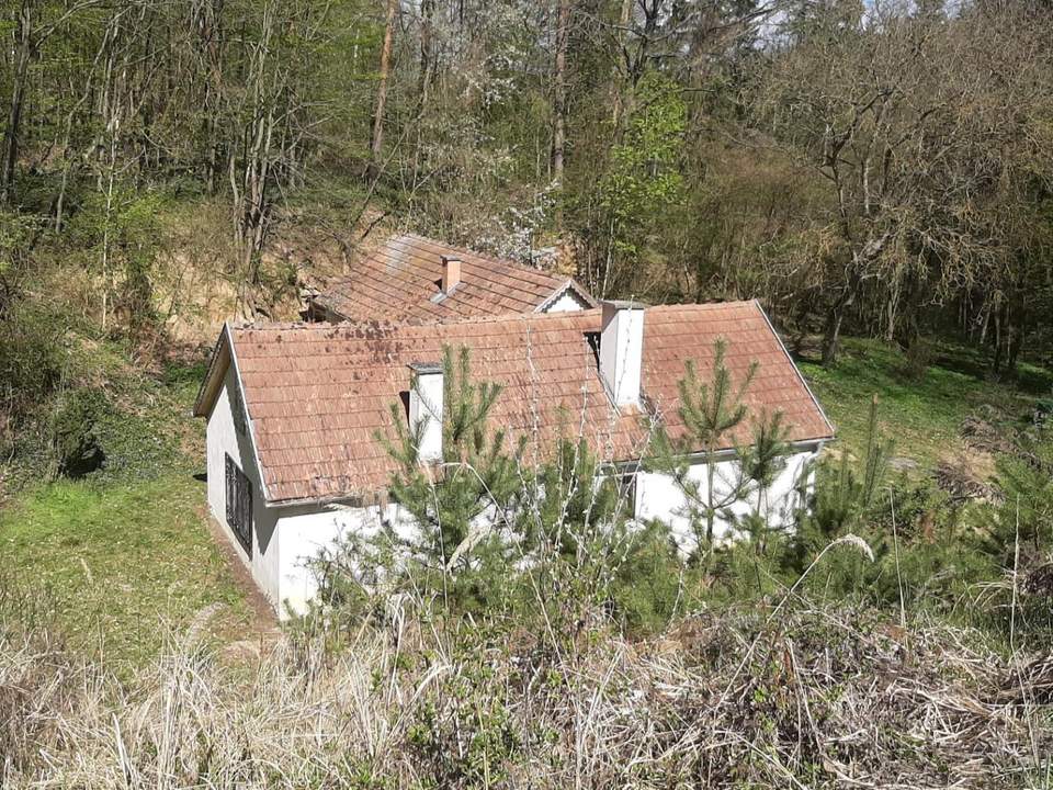 NEUER PREIS! IDYLLISCHE ALLEINLAGE IM NATURSCHUTZGEBIET